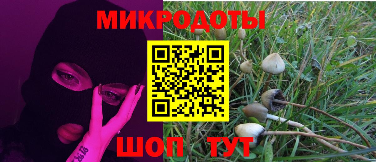 Галлюциногенные грибы мицелий Свободный