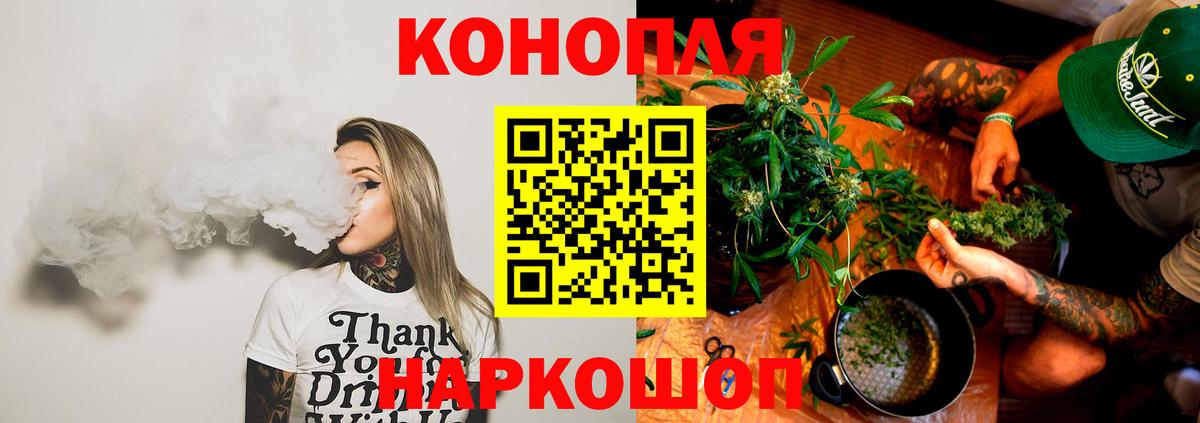 Бошки Шишки семена Свободный